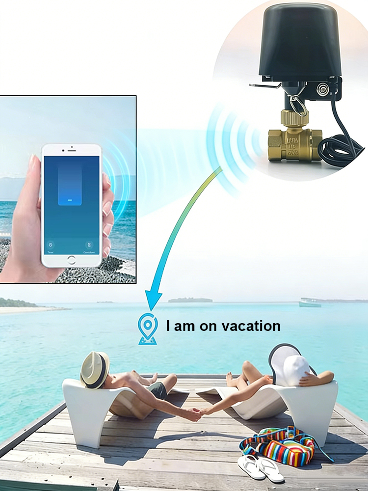 วาล์วน้ำอัจฉริยะ Tuya ​   DN15 - Smart Garden Home Assistant บทวิจารณ์และราคา