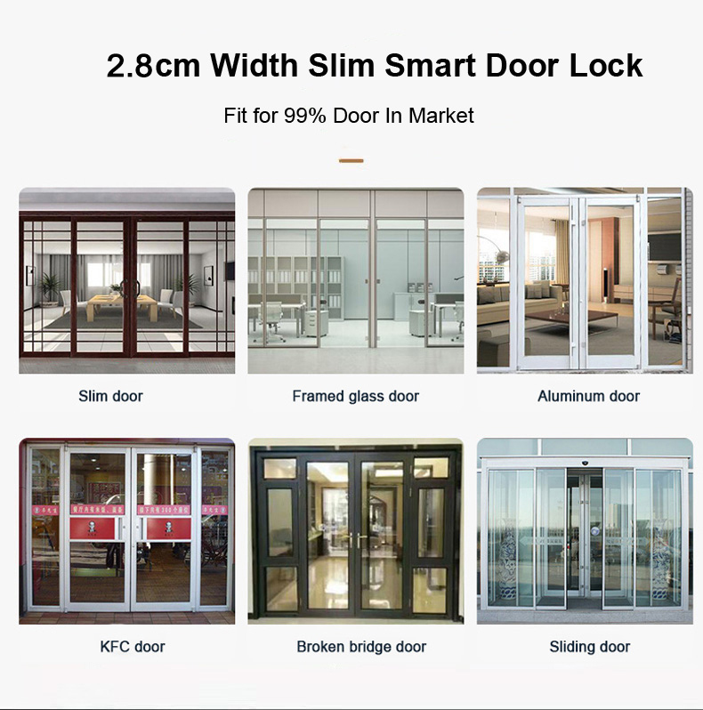 ล็อคประตูอัจฉริยะพร้อมลายนิ้วม - Smart Garden Door Lock บทวิจารณ์และราคา