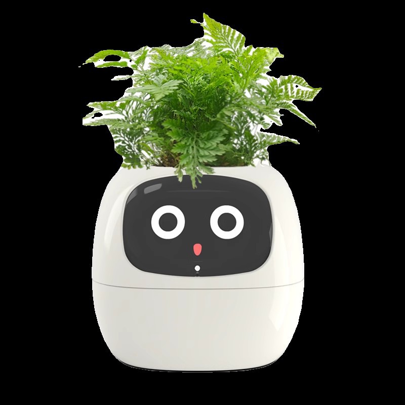 กระถางดอกไม้สมาร์ทเซ็นเซอร์ Mi - Self Watering Pot Sensor บทวิจารณ์และราคา