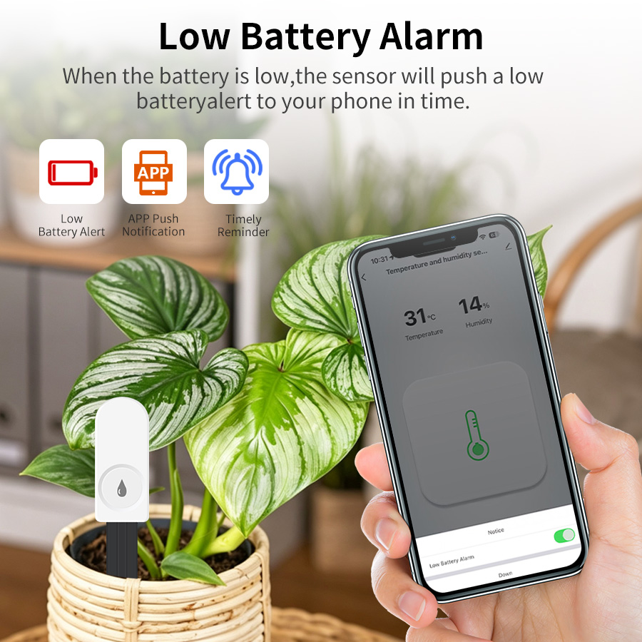เซ็นเซอร์วัดความชื้นในดินอัจฉร - App Smart Garden บทวิจารณ์และราคา