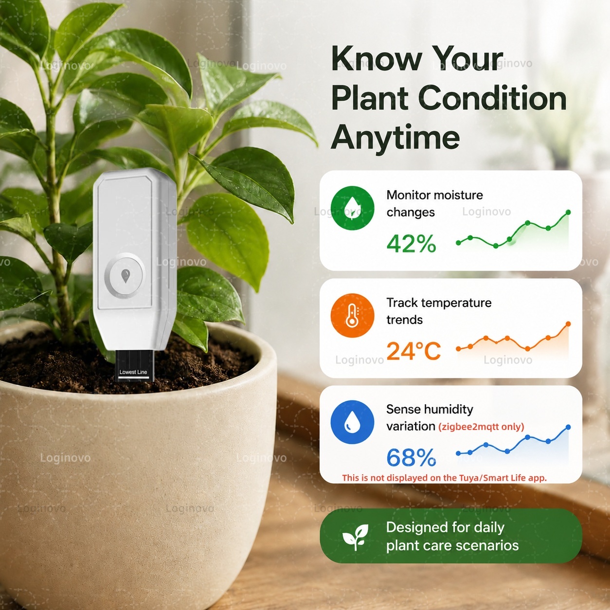 TUYA Zigbee เครื่องทดสอบดิน เซ - Smart Garden Home Assistant บทวิจารณ์และราคา
