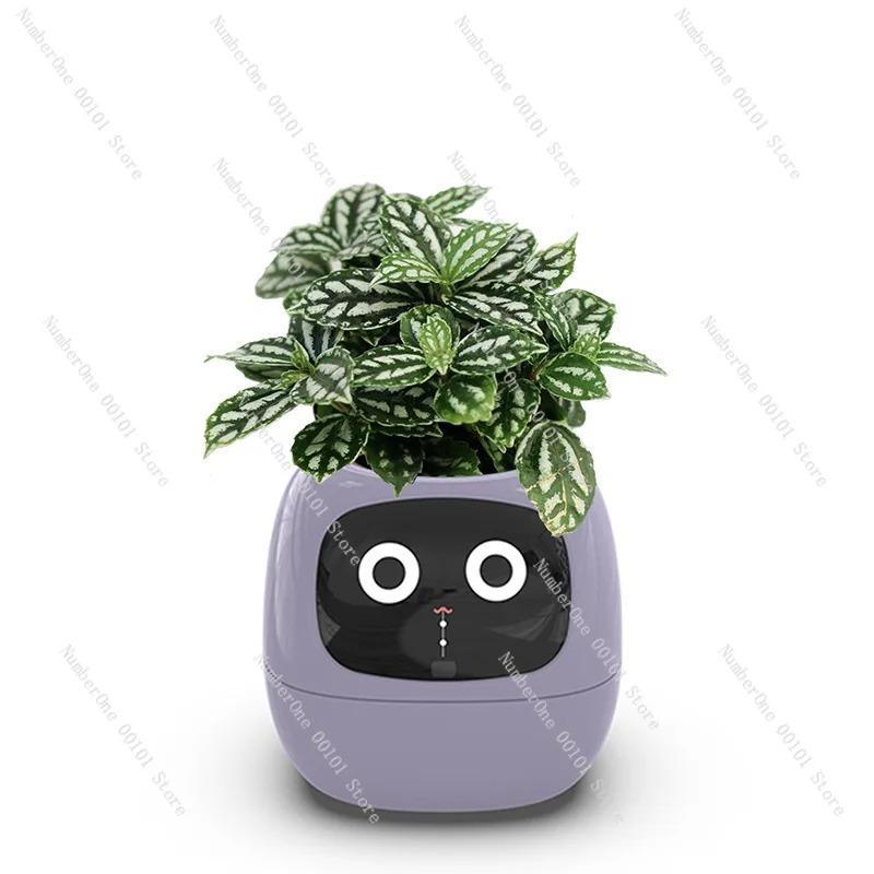 กระถางต้นไม้พลาสติกแบบรดน้ำอัต - Self Watering Pot Sensor บทวิจารณ์และราคา