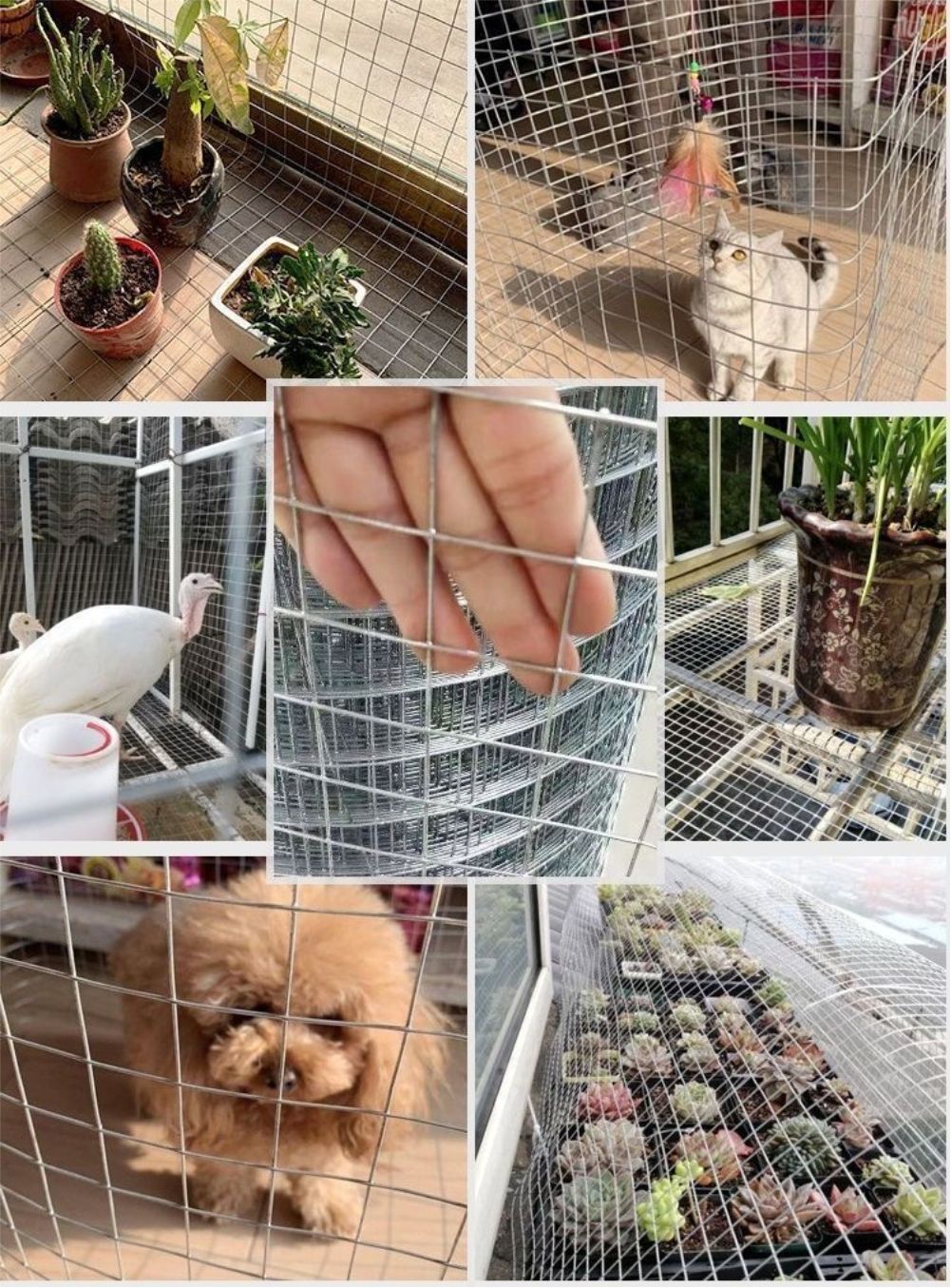Hot Dip ชุบสังกะสี Breeding ลว - Smart Garden Fence บทวิจารณ์และราคา
